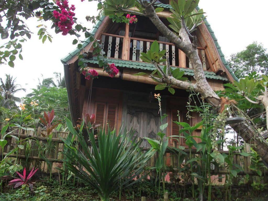 Villa Lumbung Ubud  Ngoại thất bức ảnh